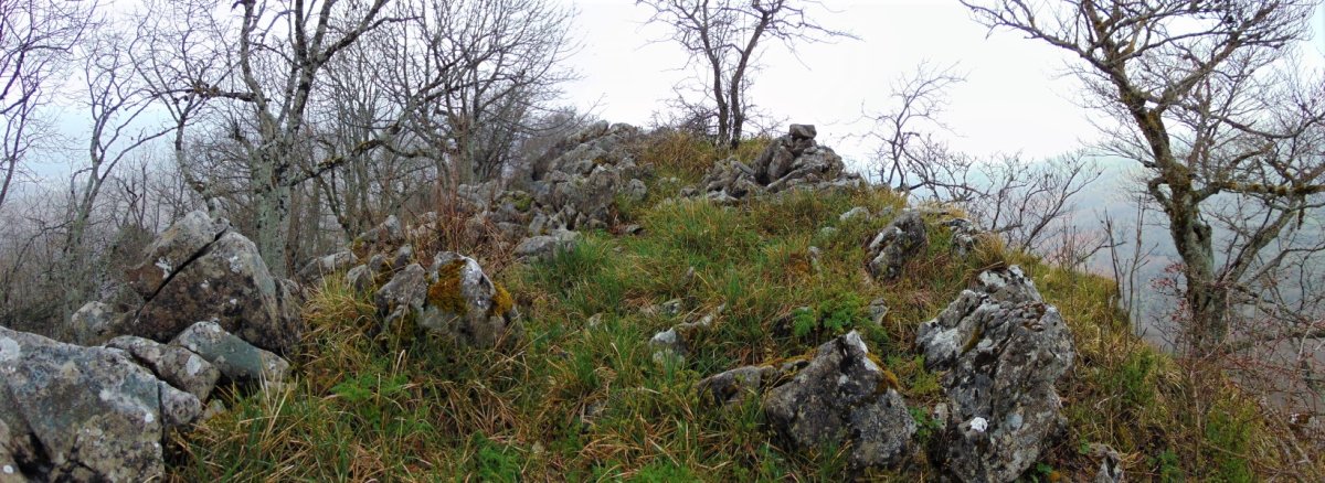 Tontorra