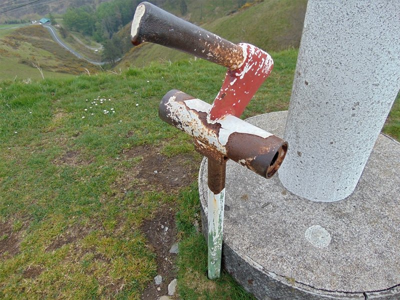 Buzoia
