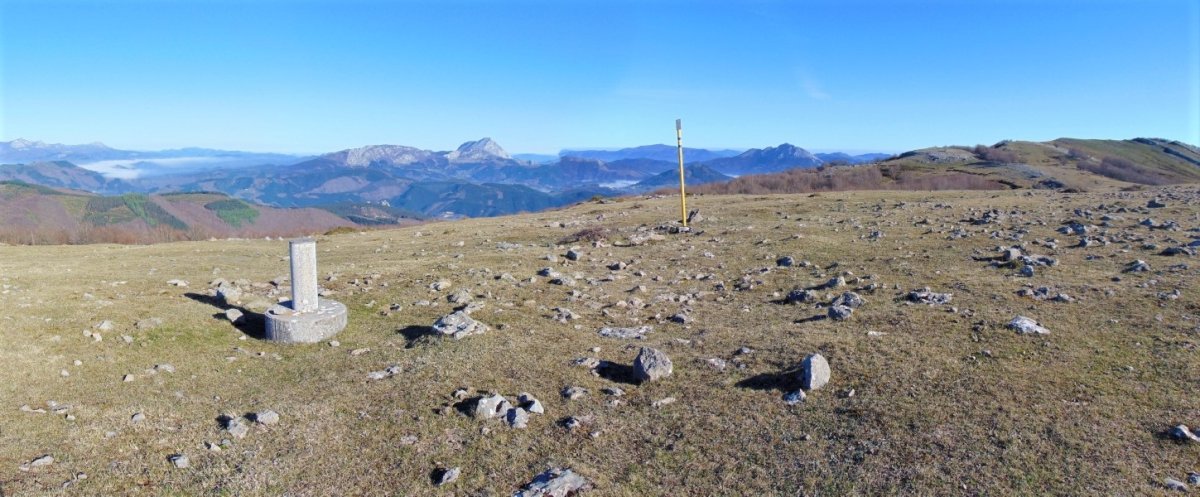 Tontorra