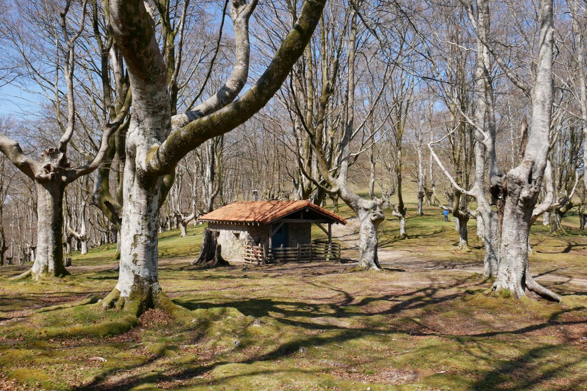 Oielekuko borda