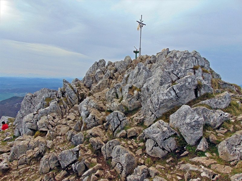 Tontorra