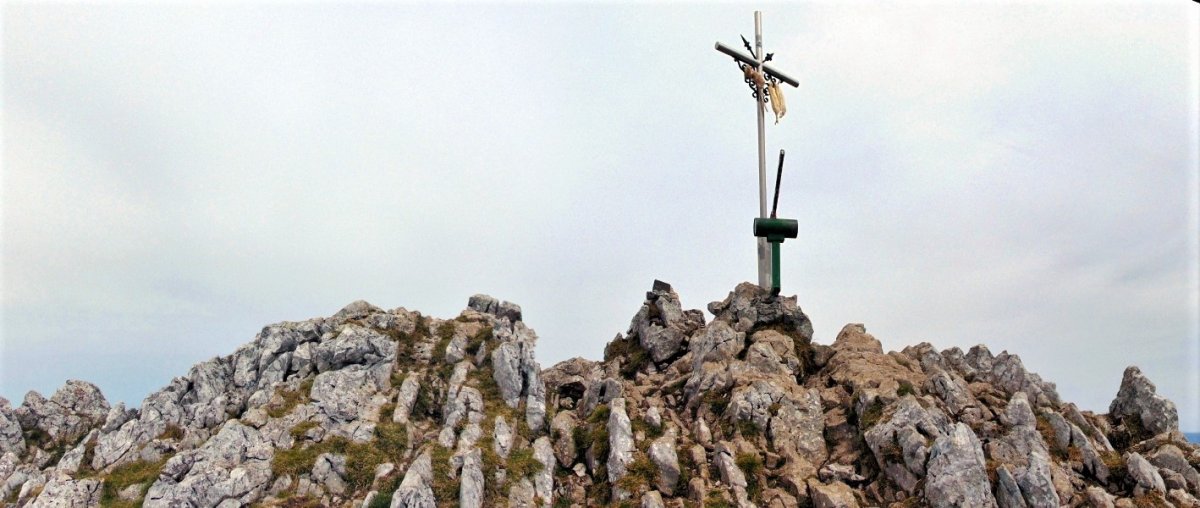 Tontorra