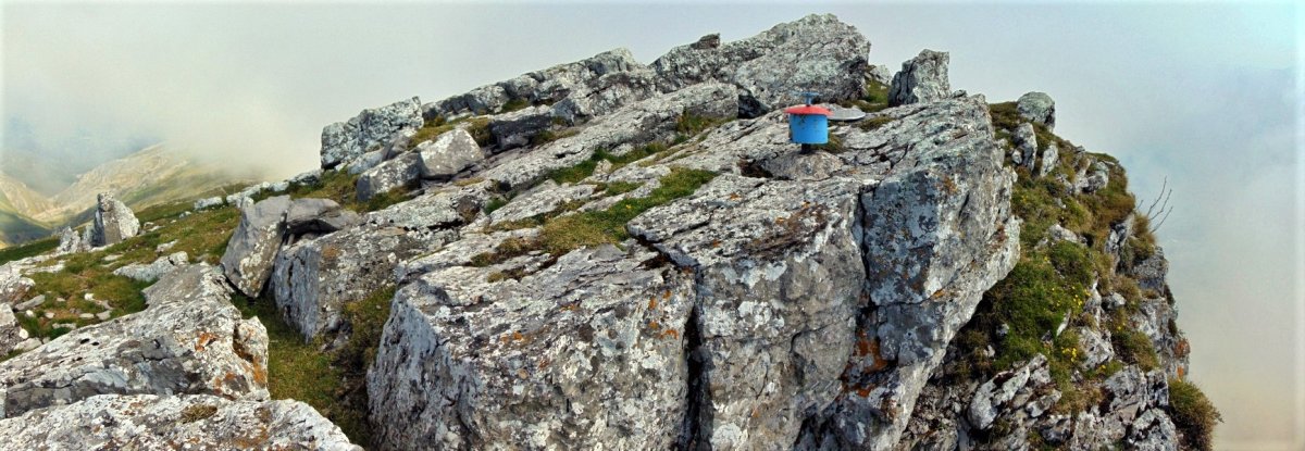 Tontorra