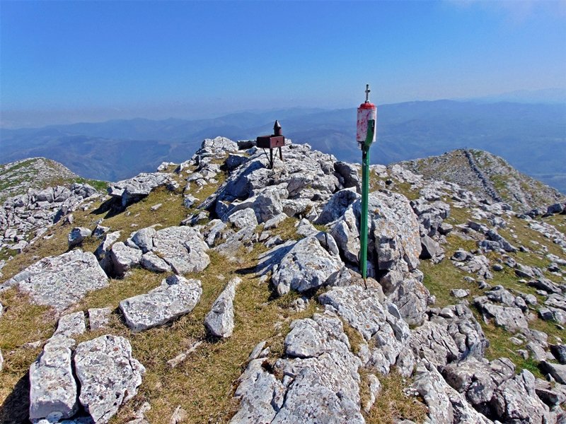 Tontorra