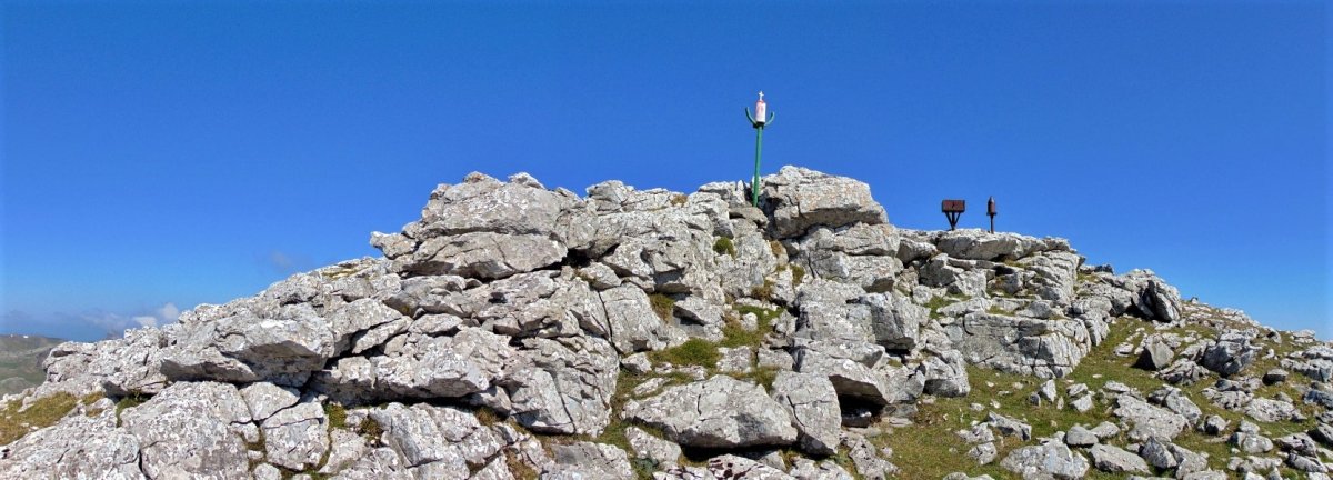 Tontorra