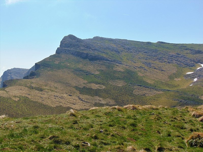 Aldaon Ingurutik