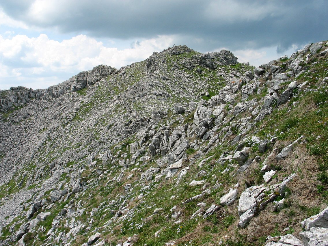Aldaon