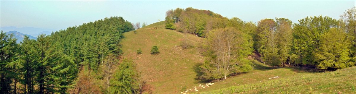Pertxeletik