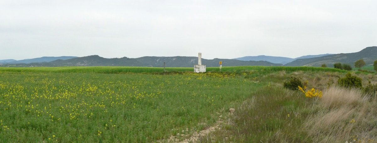 Txarriko gailurra
