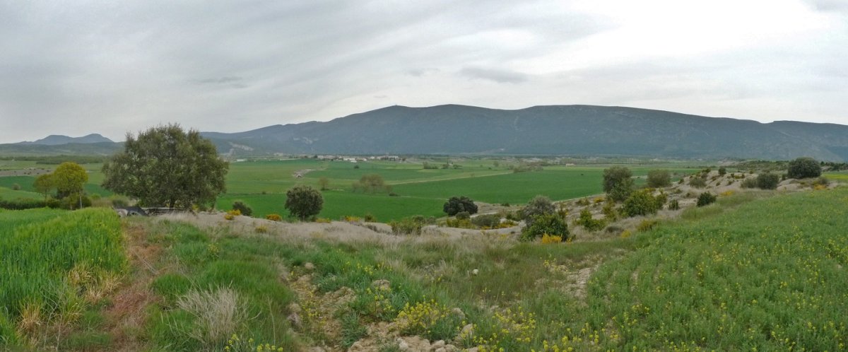 Txarriko gainaldea