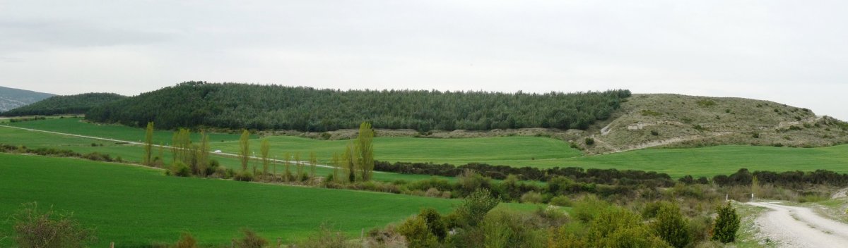 Lardin, ekialdetik