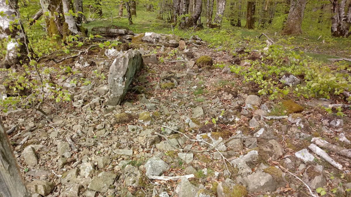 Suspiru I trikuharria 3