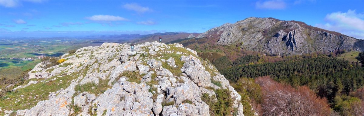 Tontorra