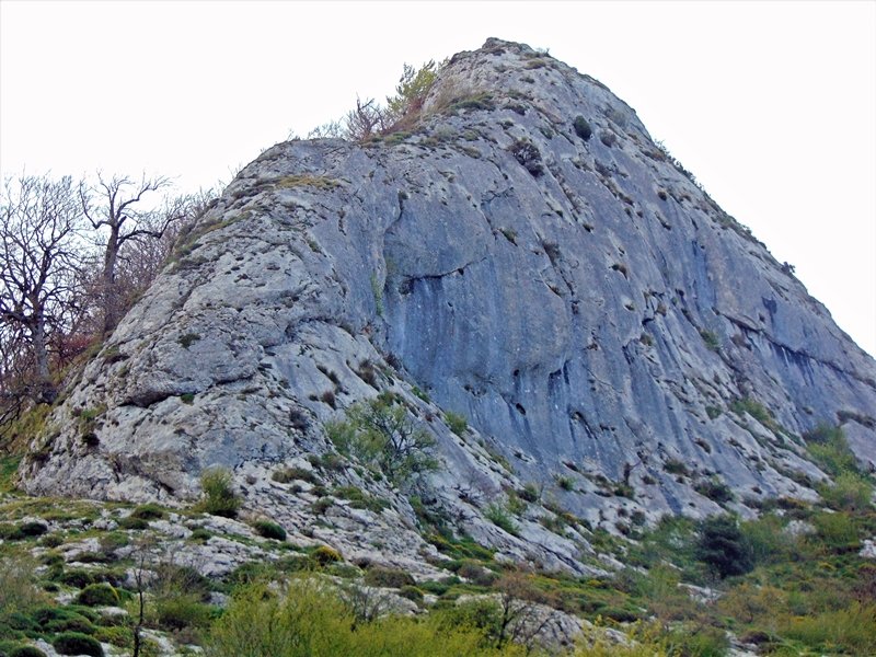 Artzanegi