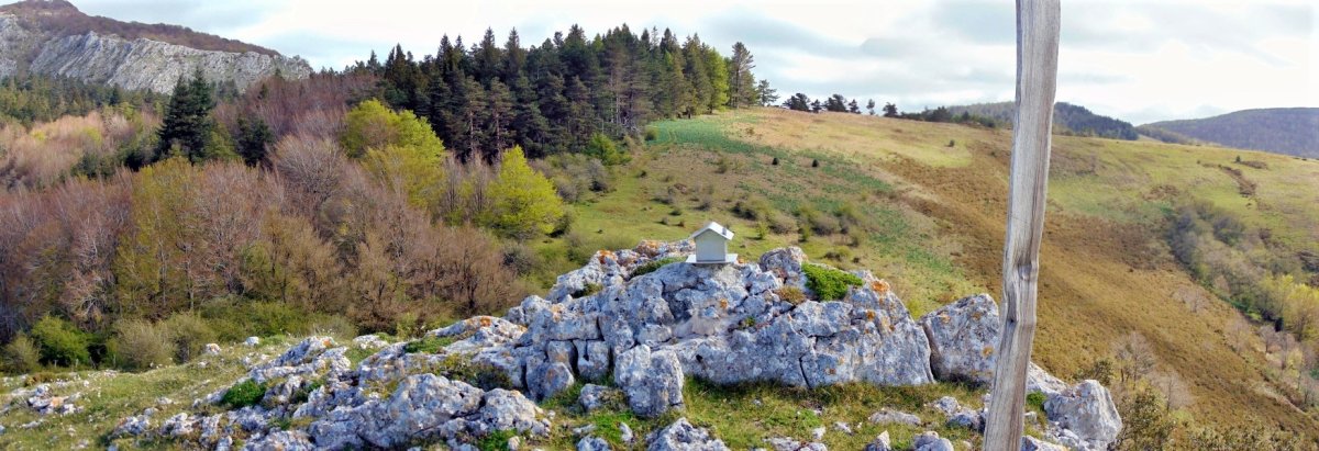 Tontorra