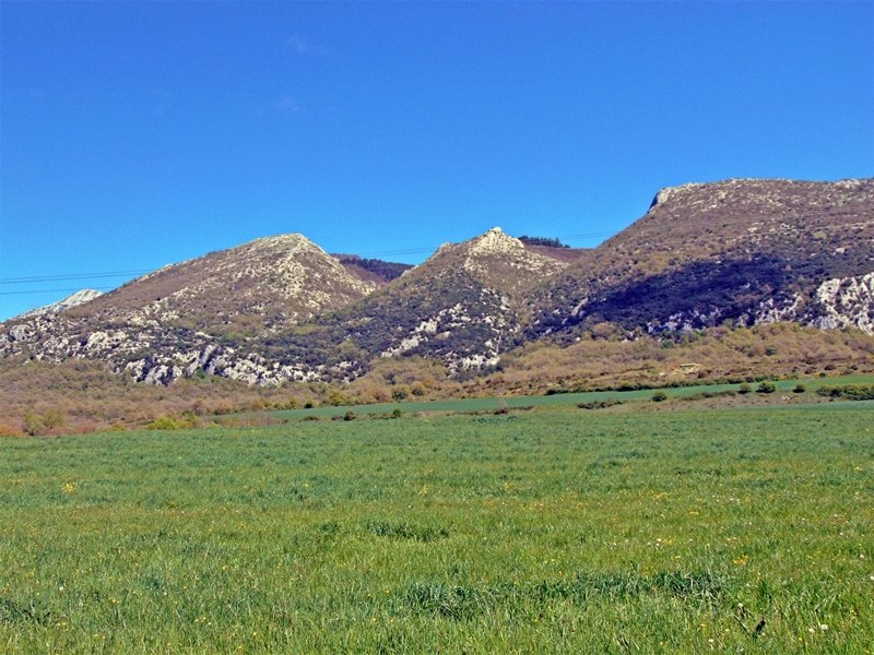 Albeiz, Atxipi eta Artzanegi
