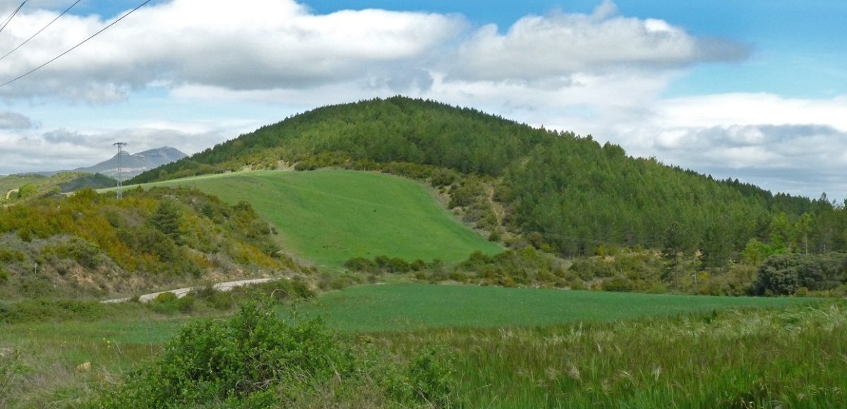 Burdisibar