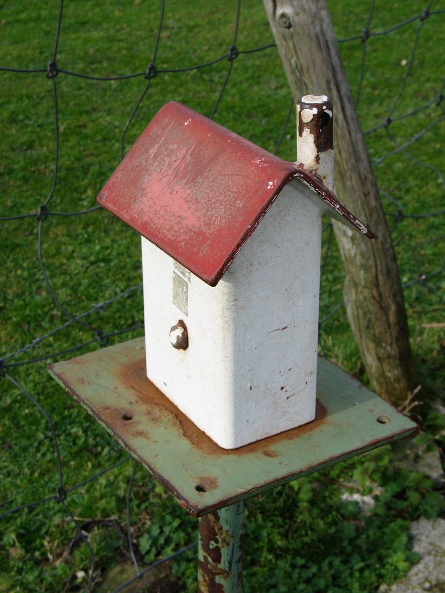 Buzoia