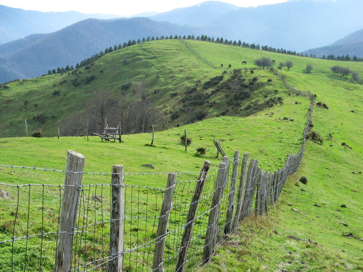 Dorrontsorogaña