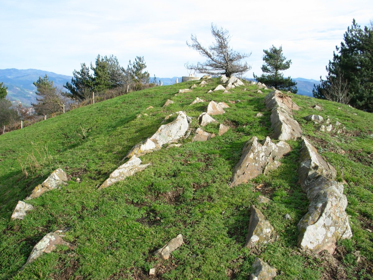 Tontorra