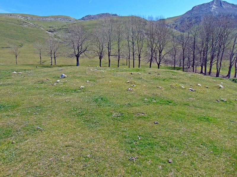 Gorostiaran Ekialde