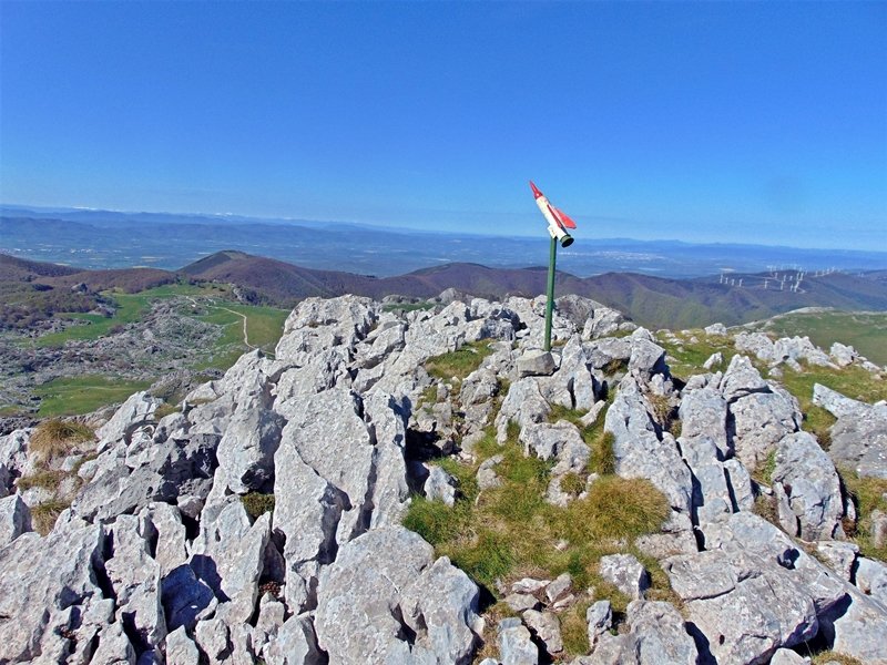 Tontorra