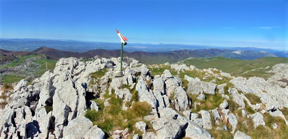 Tontorra