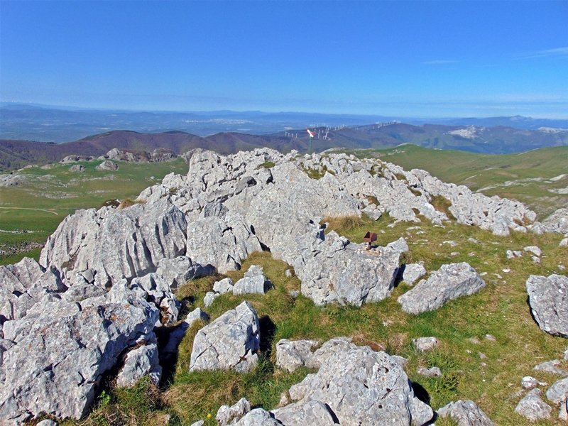 Tontorra