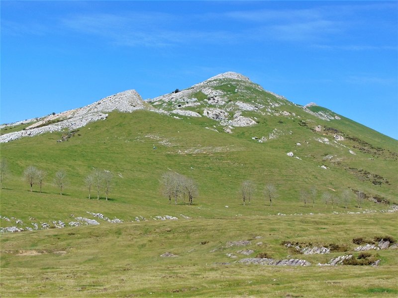 Urbiatik