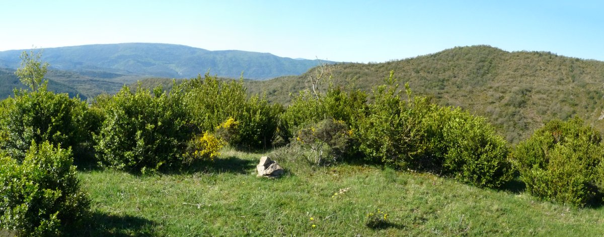 Picalvoko gailurra