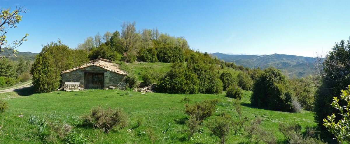 Ripaldako borda