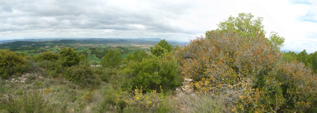 Otsondoa, gailurra