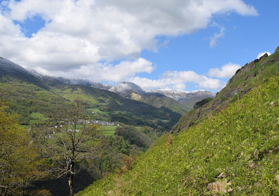 Larraine