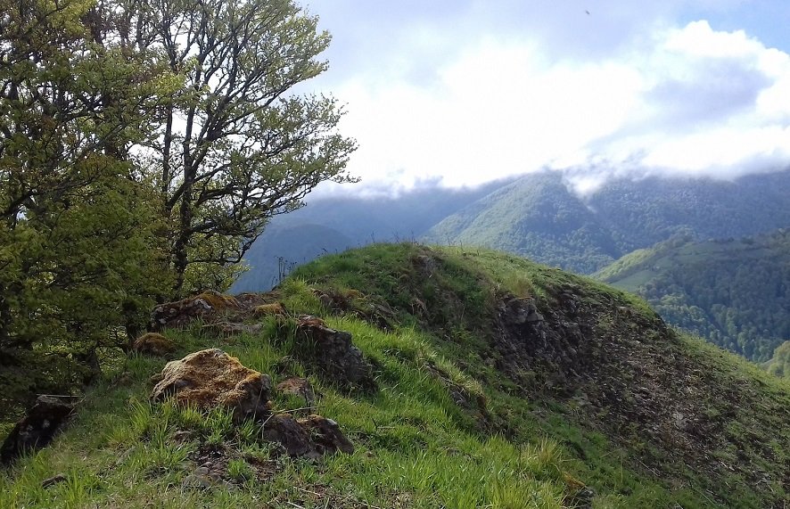 Tontorra