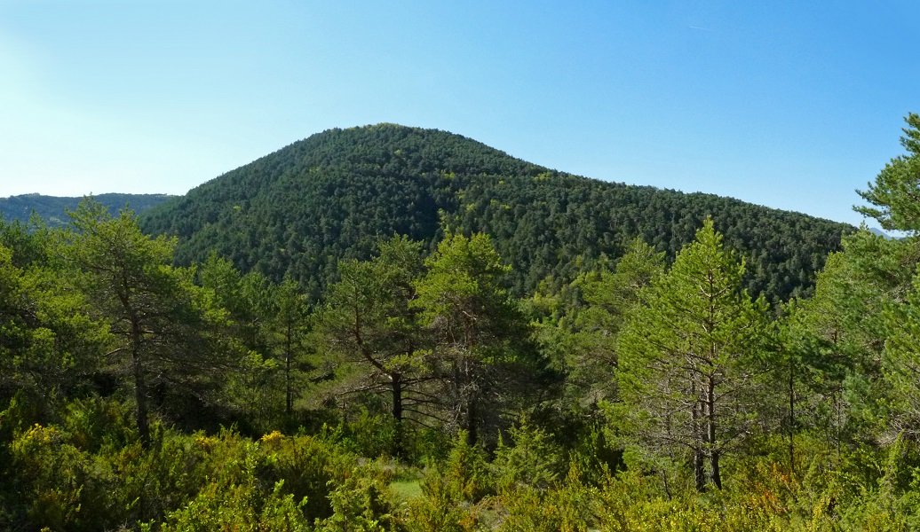 Arnaizpe 