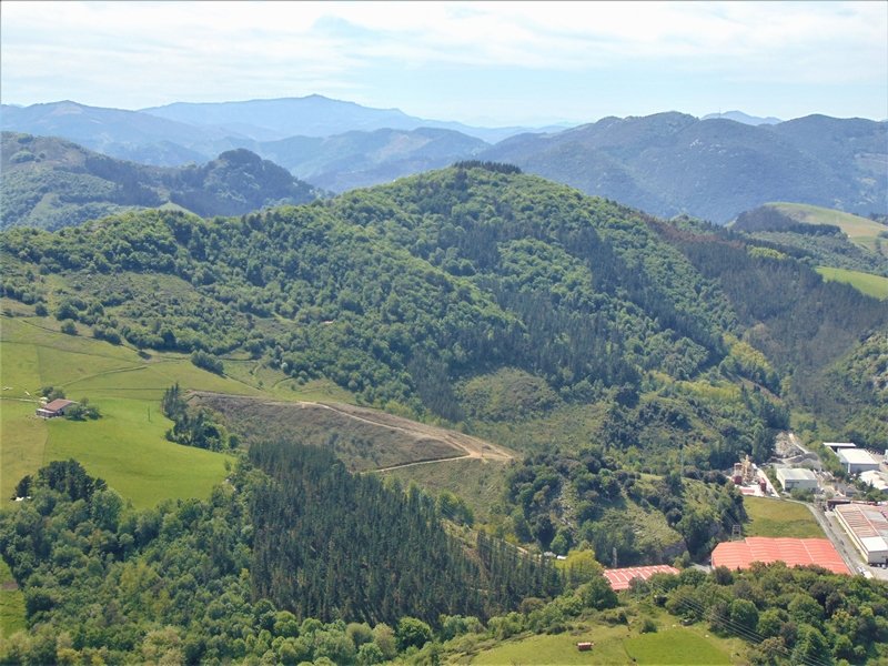 Andutzetik