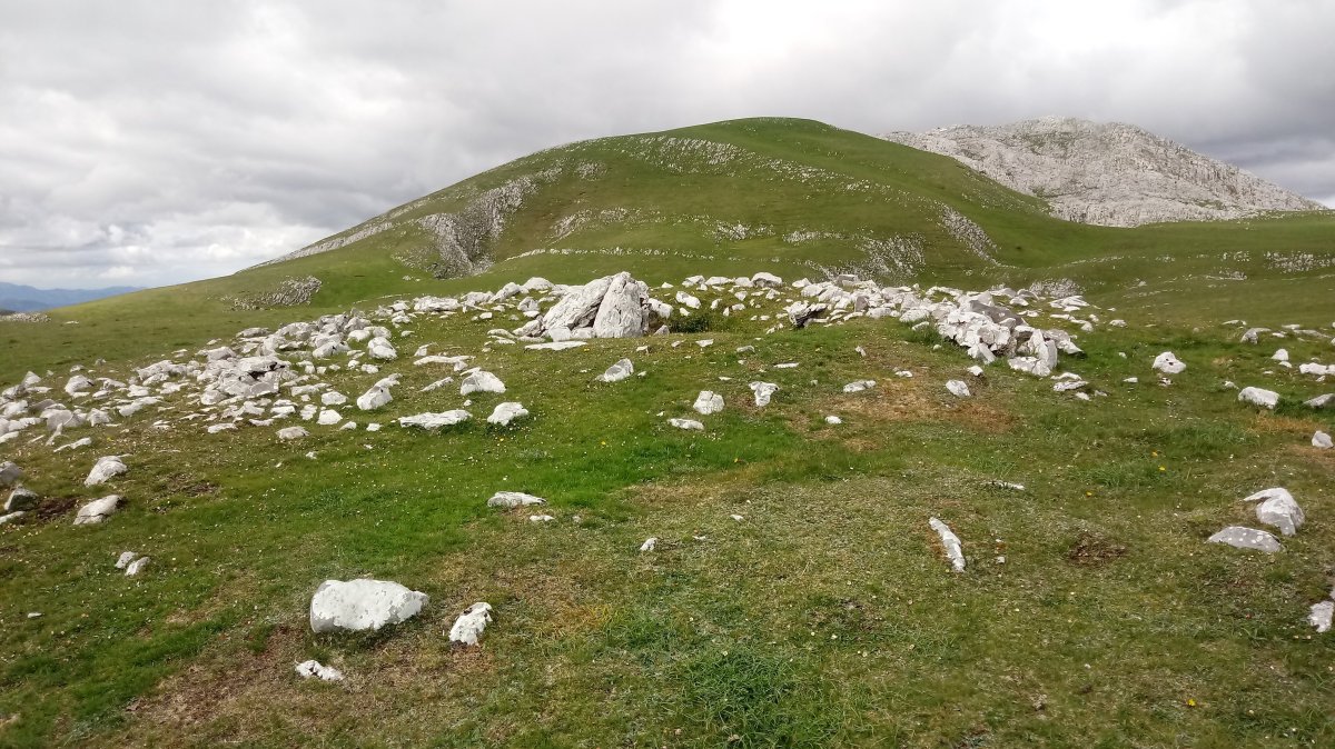 Artzanburu trikuharria 2