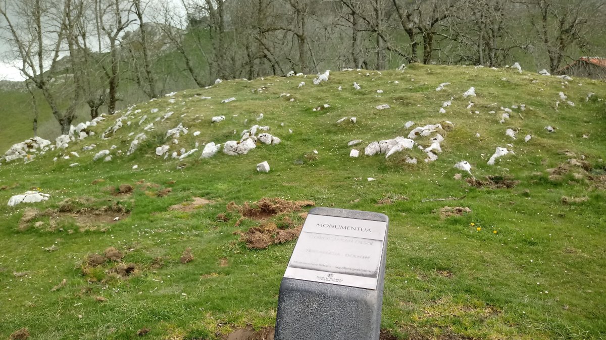 Gorostiaran M. trikuharria (2019)