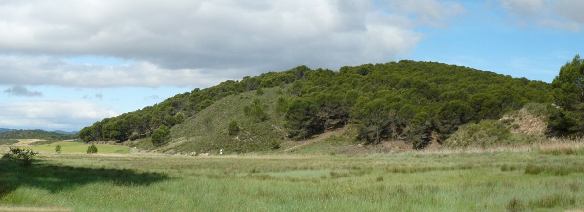 Beratxa gaina