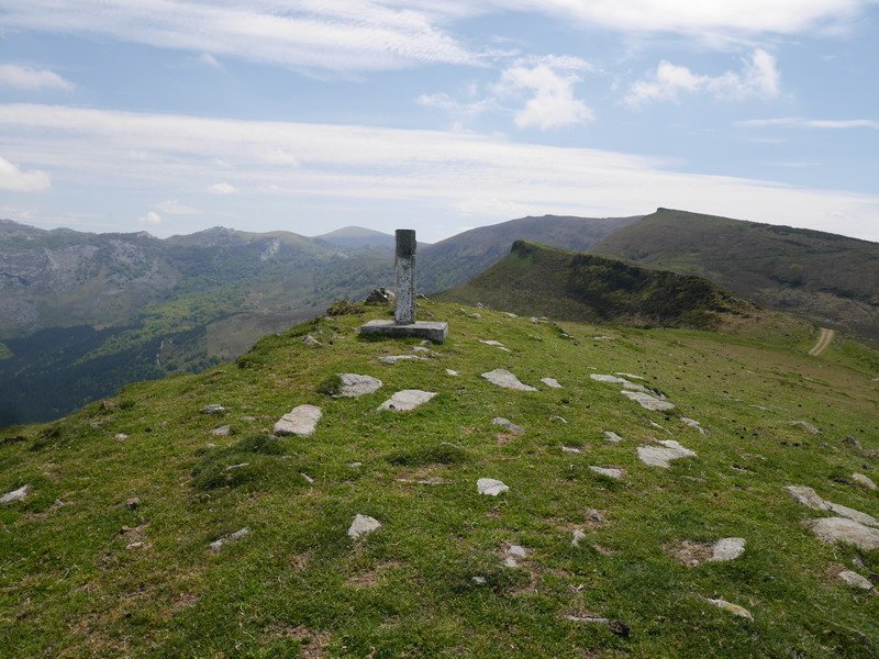 Kolometako tontorra