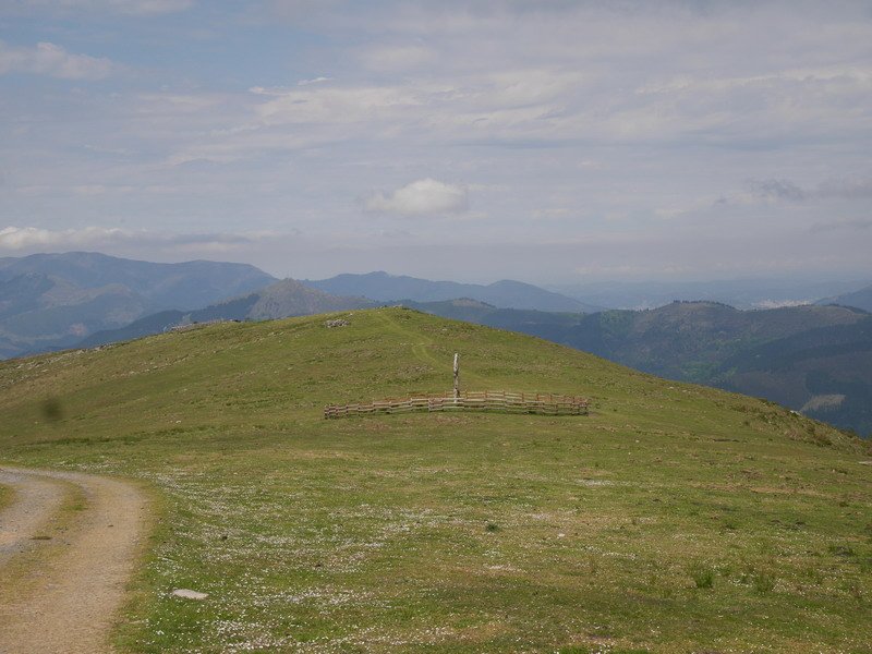 Kurtzegan zutarria