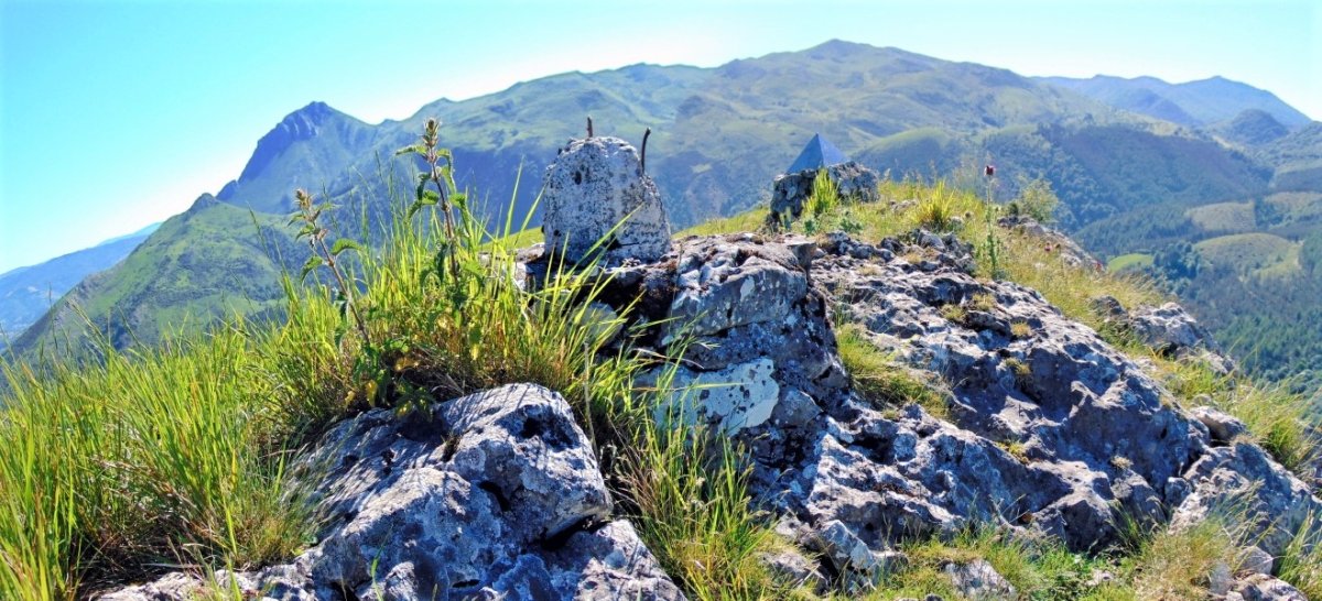 Tontorra