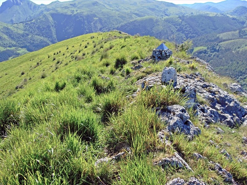 Tontorra