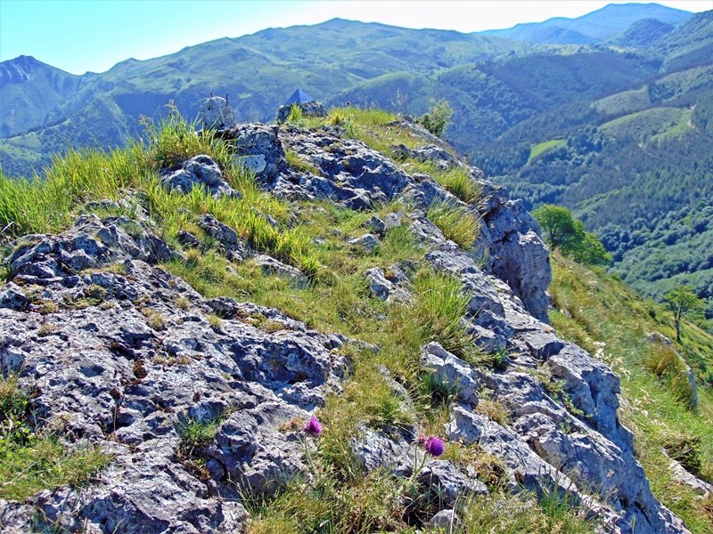 Tontorra