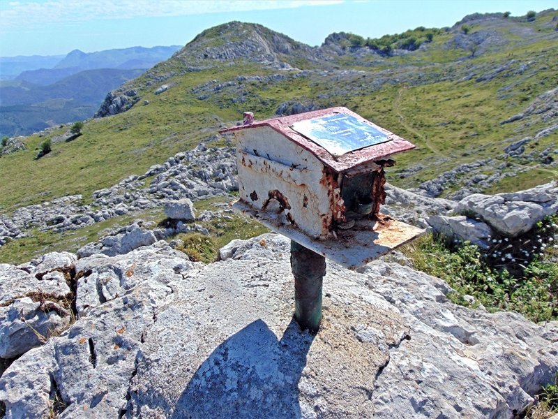Buzoia