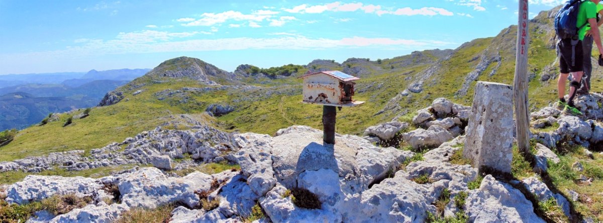 Tontorra