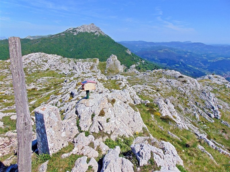 Tontorra