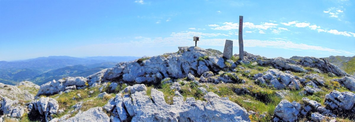Tontorra