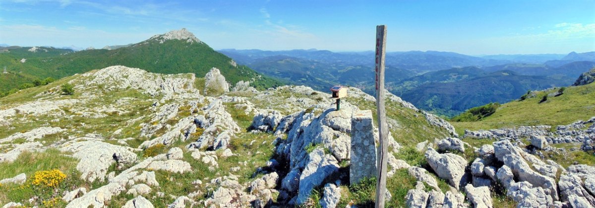 Tontorra