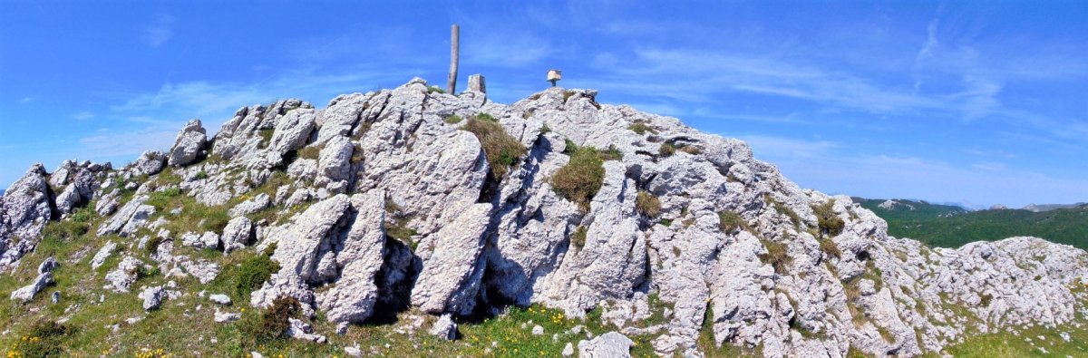 Tontorra